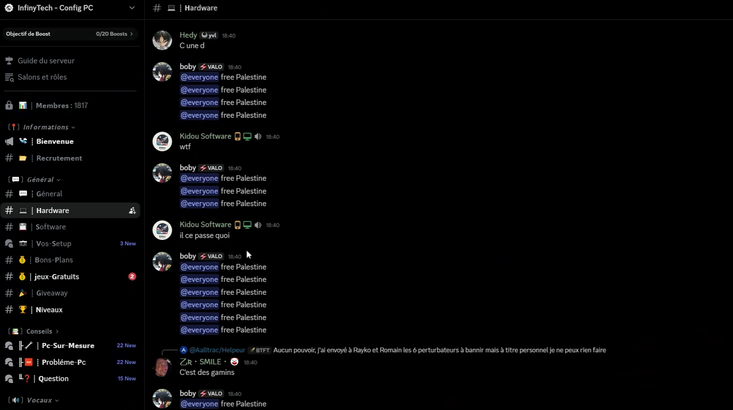 Capture serveur Rayko #1